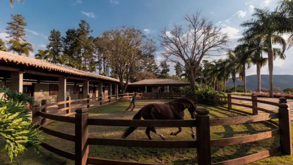 Condomínio equestre de luxo com casas e haras integrados